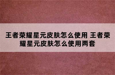 王者荣耀星元皮肤怎么使用 王者荣耀星元皮肤怎么使用两套